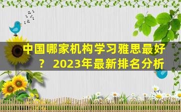 中国哪家机构学习雅思最好？ 2023年最新排名分析